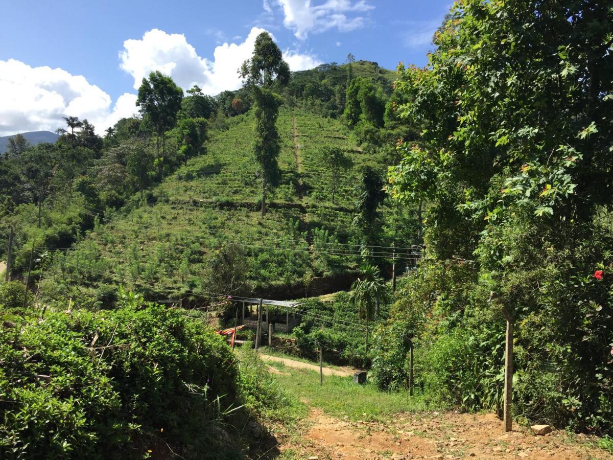 Rohana Estate Lodging & Camping Kandy Luaran gambar