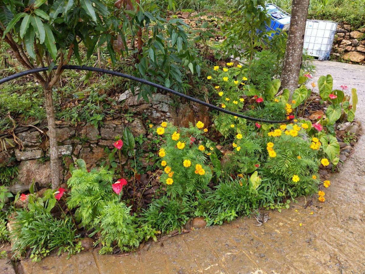 Rohana Estate Lodging & Camping Kandy Luaran gambar