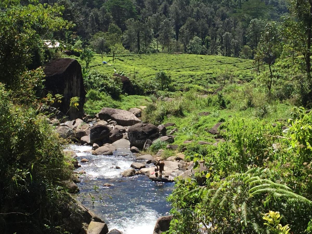Rohana Estate Lodging & Camping Kandy Luaran gambar