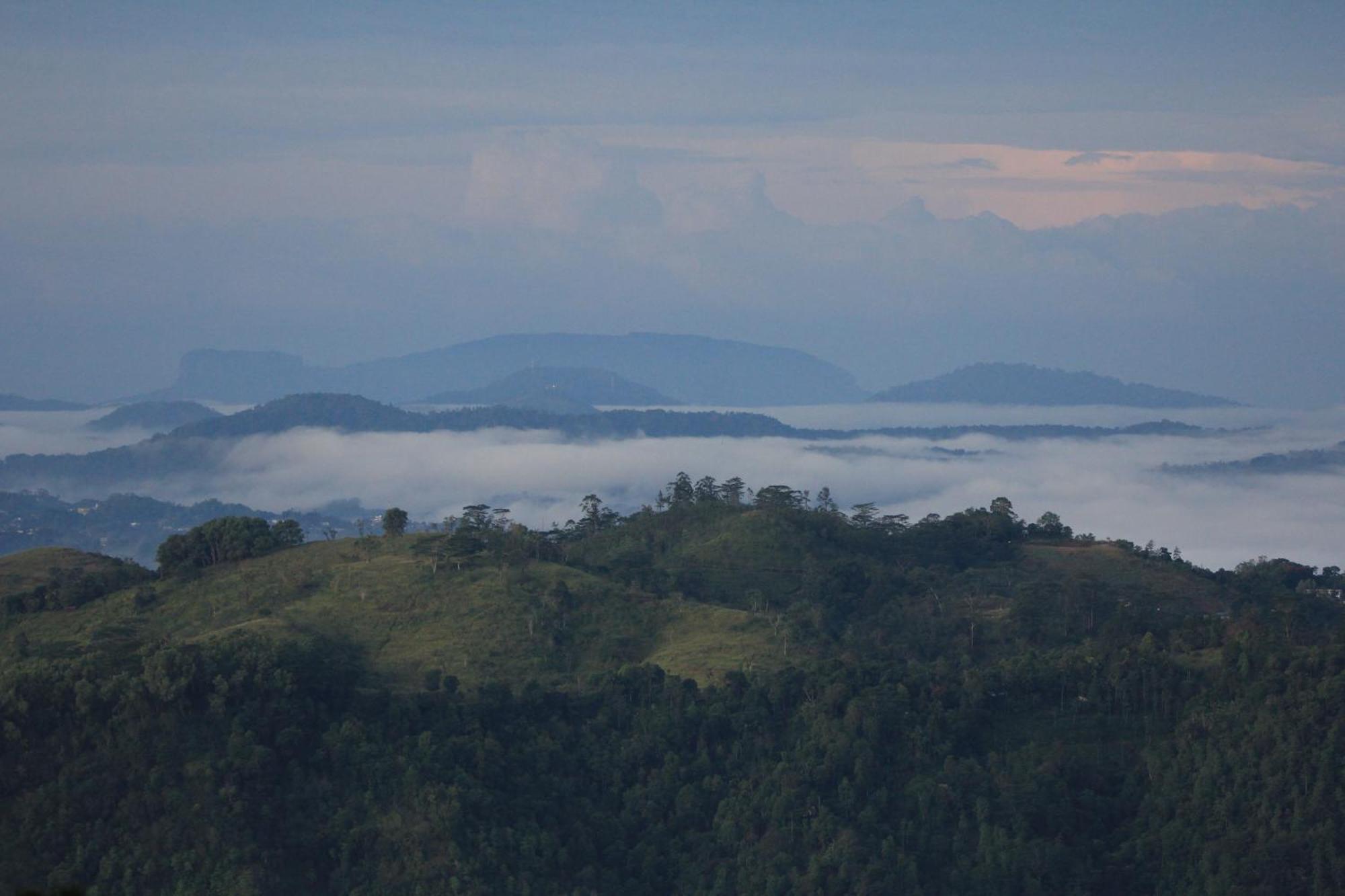 Rohana Estate Lodging & Camping Kandy Luaran gambar