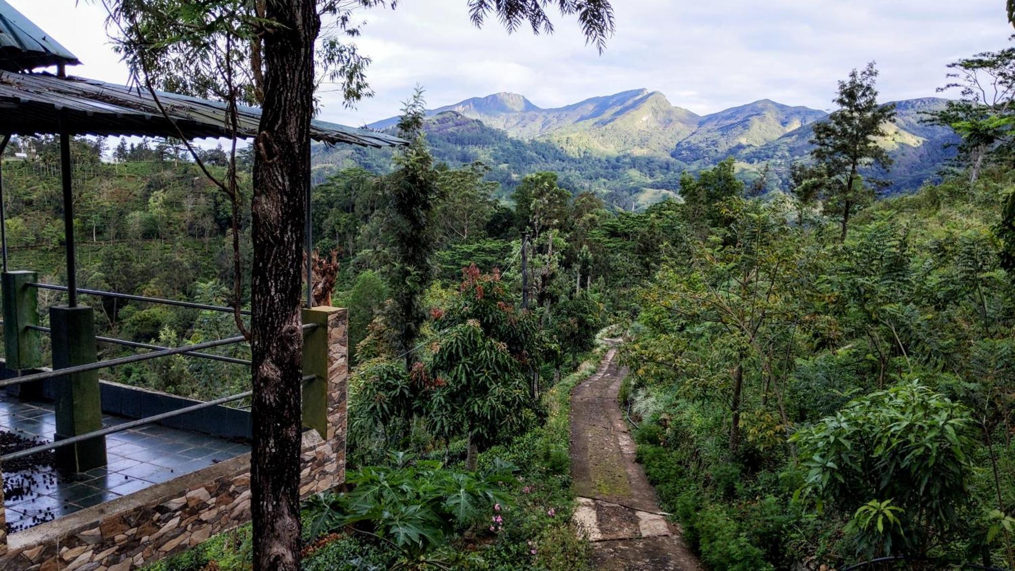 Rohana Estate Lodging & Camping Kandy Luaran gambar
