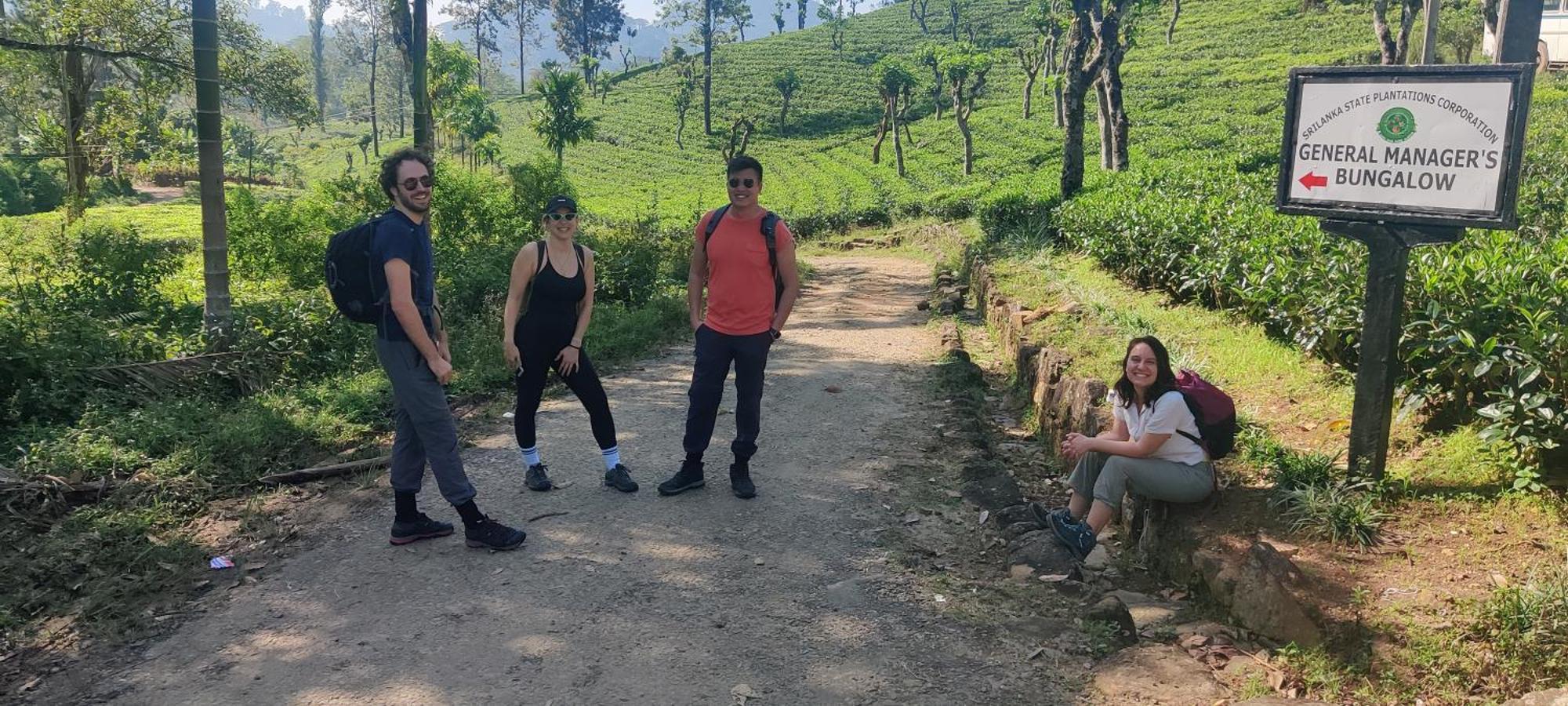 Rohana Estate Lodging & Camping Kandy Luaran gambar