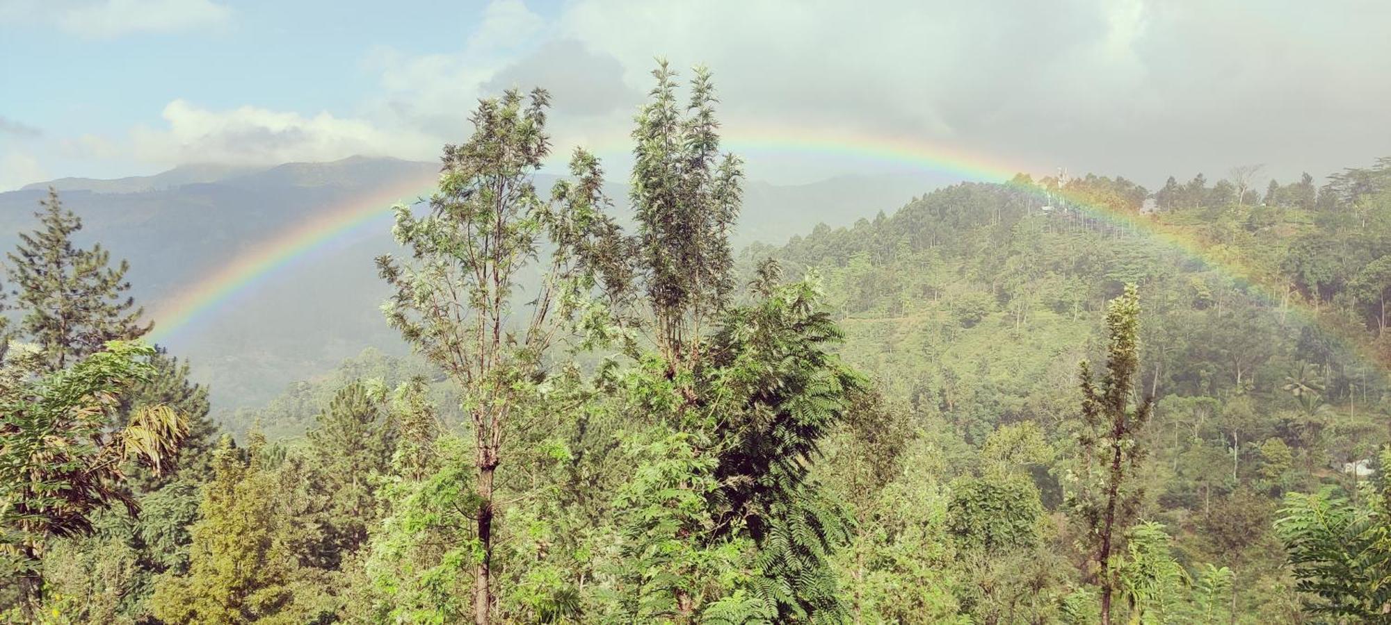 Rohana Estate Lodging & Camping Kandy Luaran gambar